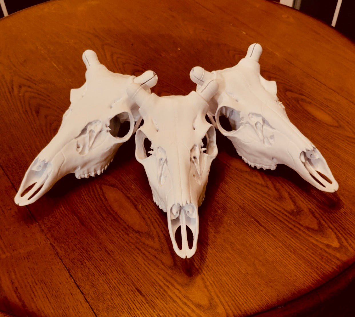 3D Printed Euromount Skull