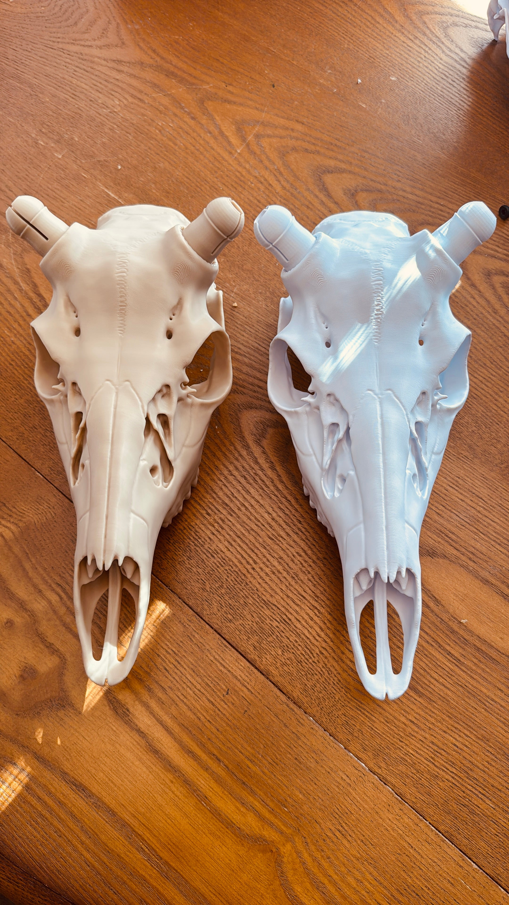 3D Printed Euromount Skull