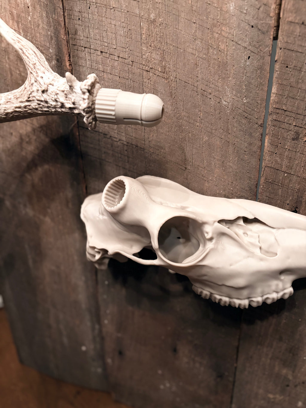 3d Printed Half Euroskull