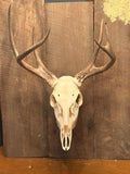 Euro Mount hanger