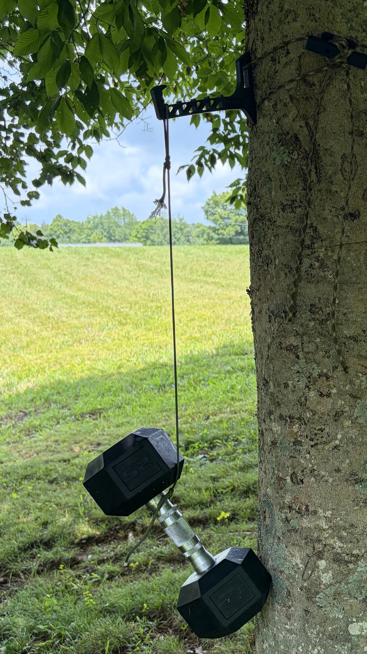 Pittman Easy Hooks