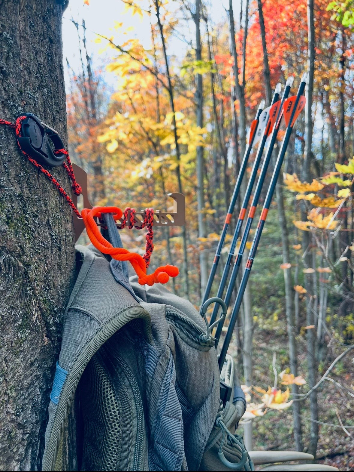 Pittman Easy Hooks