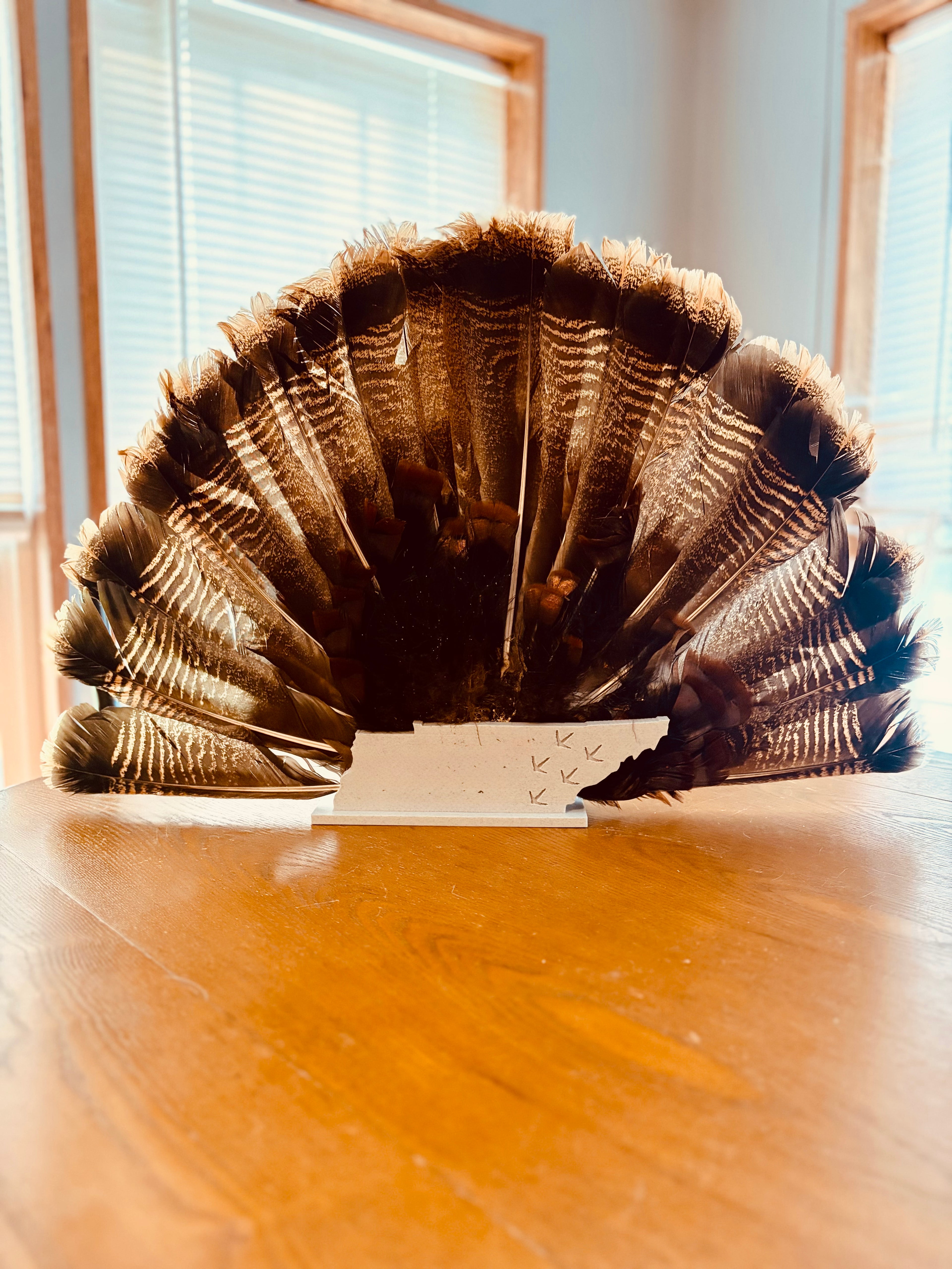 3D printed Turkey Fan Plaque