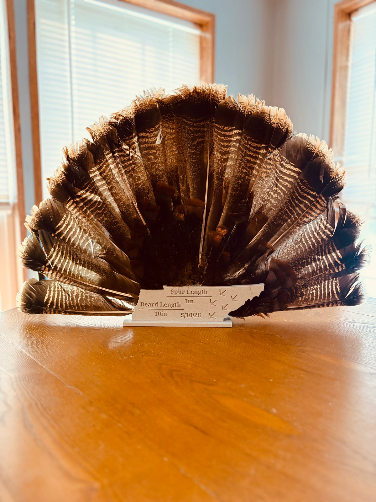 3D printed Turkey Fan Plaque