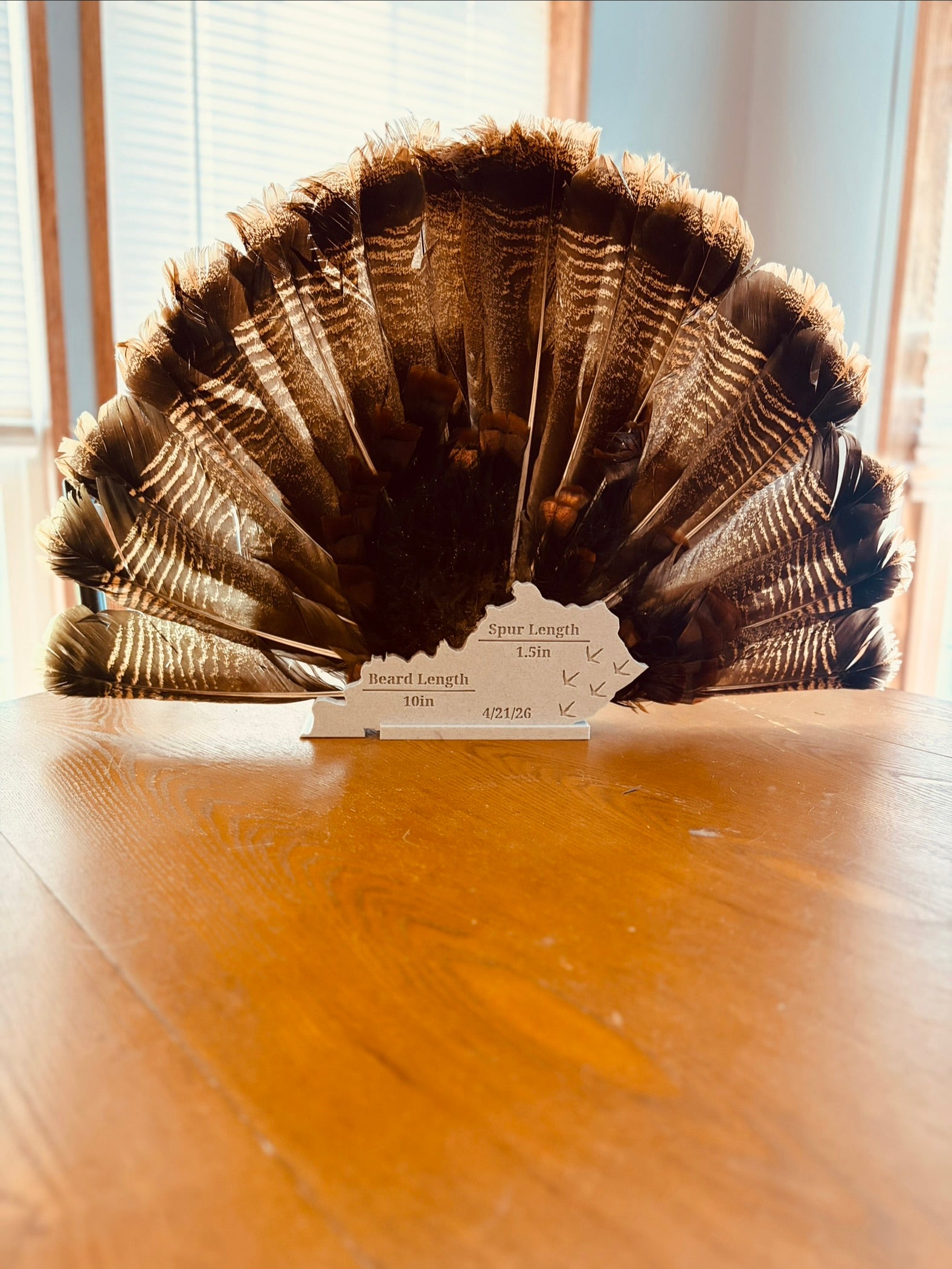 3D printed Turkey Fan Plaque