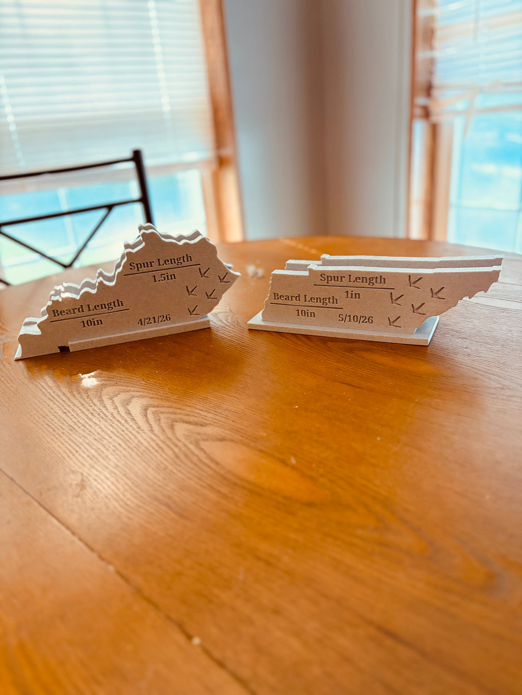 3D printed Turkey Fan Plaque