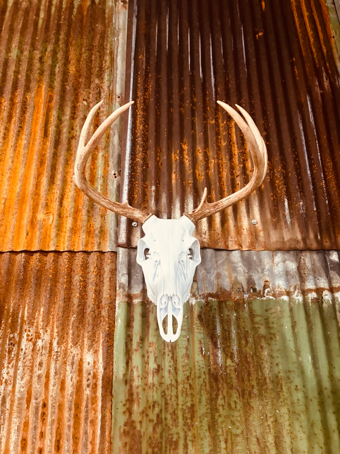 3D Printed Euromount Skull