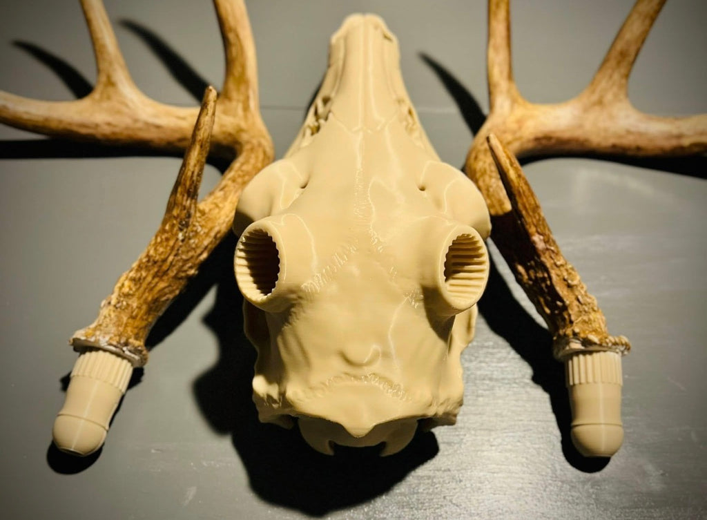 3D Printed Euromount Skull