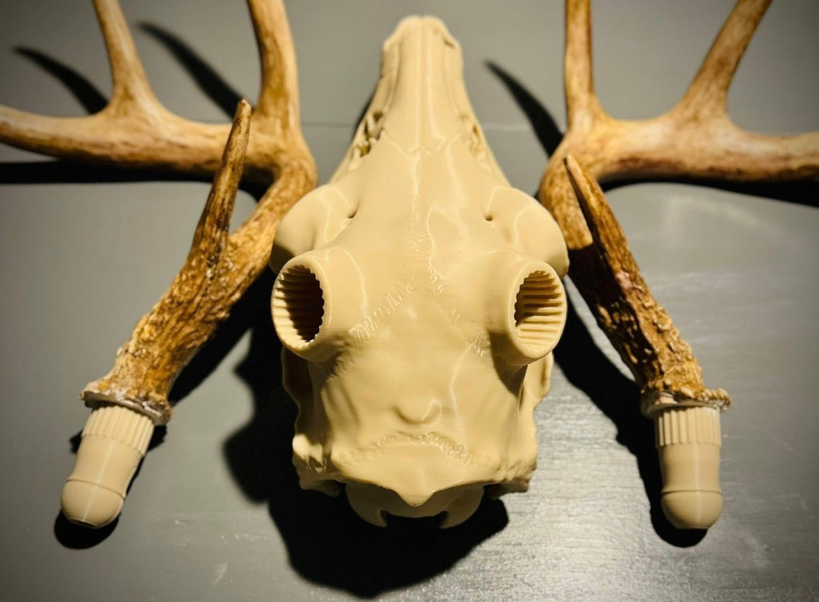 3D Printed Euromount Skull
