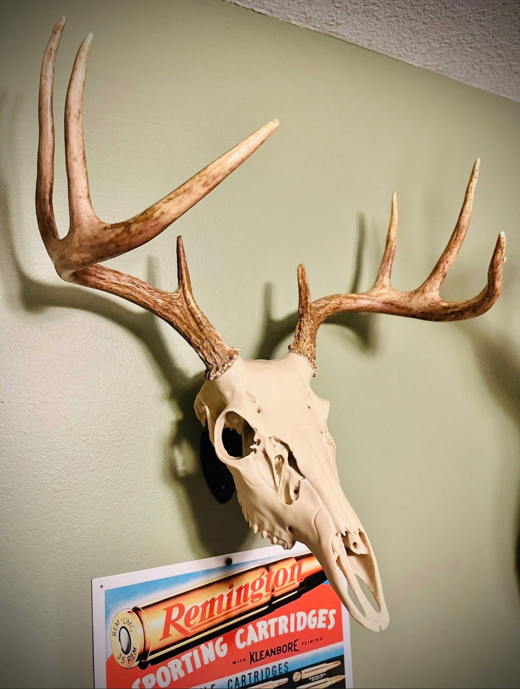 3D Printed Euromount Skull