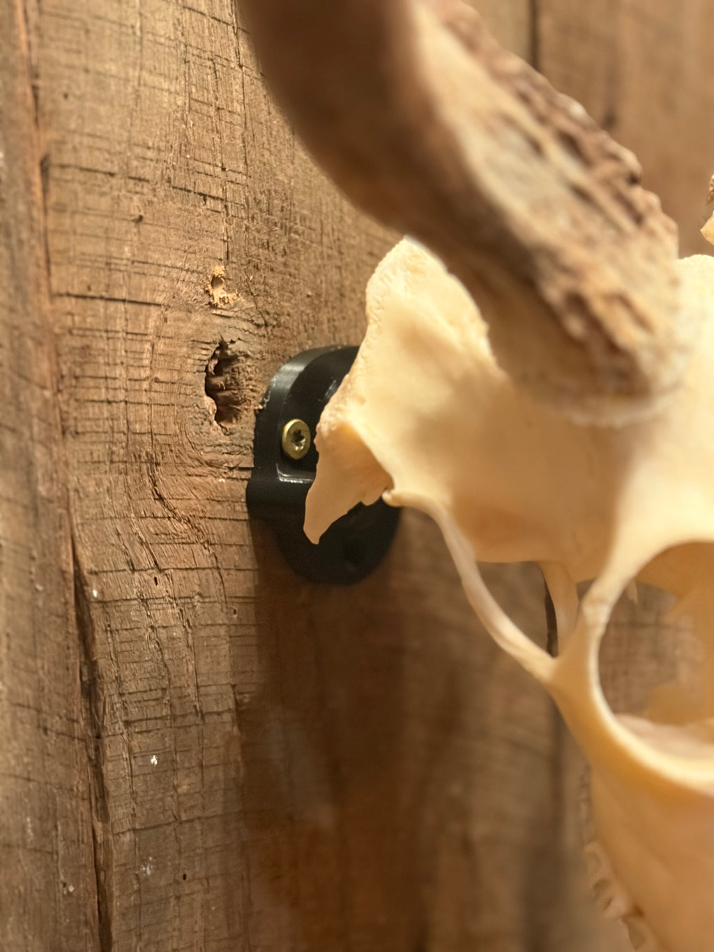 Euro Mount hanger