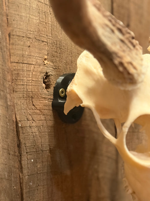 Euro Mount hanger